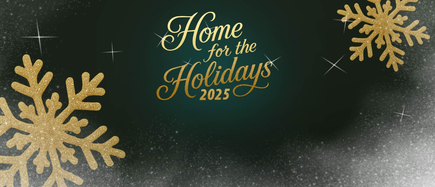Home for the Holidays image